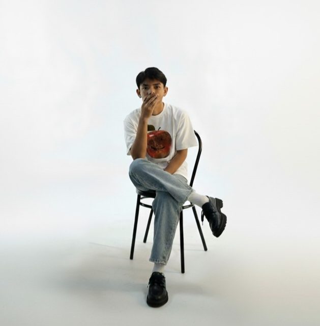 nesaaerwinsyah