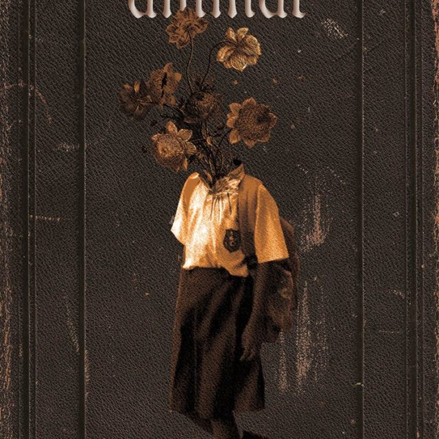 Portofolio Candrika Adhiyasa